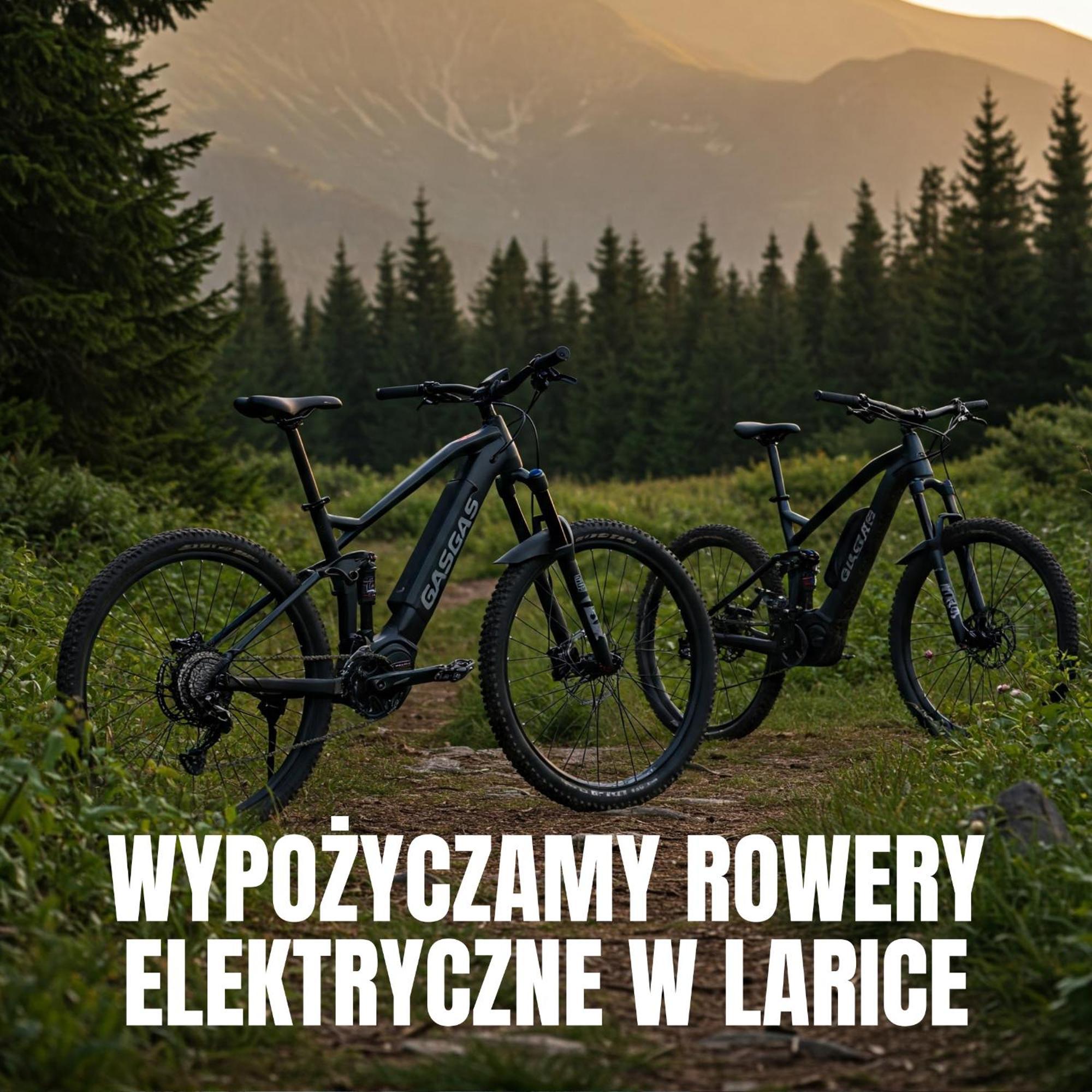 Apartamenty Larice - Podgrzewany Basen, Balia I Sauna Świeradów-Zdrój Exteriér fotografie